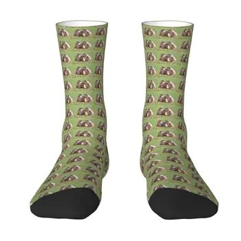 Кавайные Акварели Чорапи за кучета Prarie, мъжки И Дамски чорапи за масаж на скалпа с 3D печат, Футболни Спортни чорапи