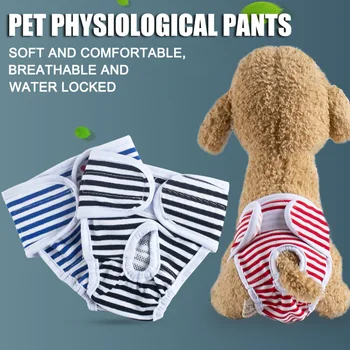 Многократно дамски шорти за домашни кучета, Физиологични, панталони, чорапогащи, при менструация, ярки цветове ще направят вашия Любим куче привлекателна